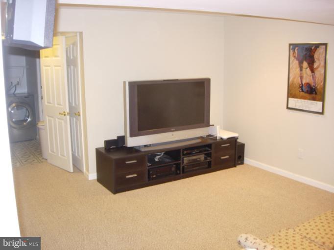 1149 Ingate Road, Unit 1149 Halethorpe, MD 21227 - Photo 8 of 14 Basement