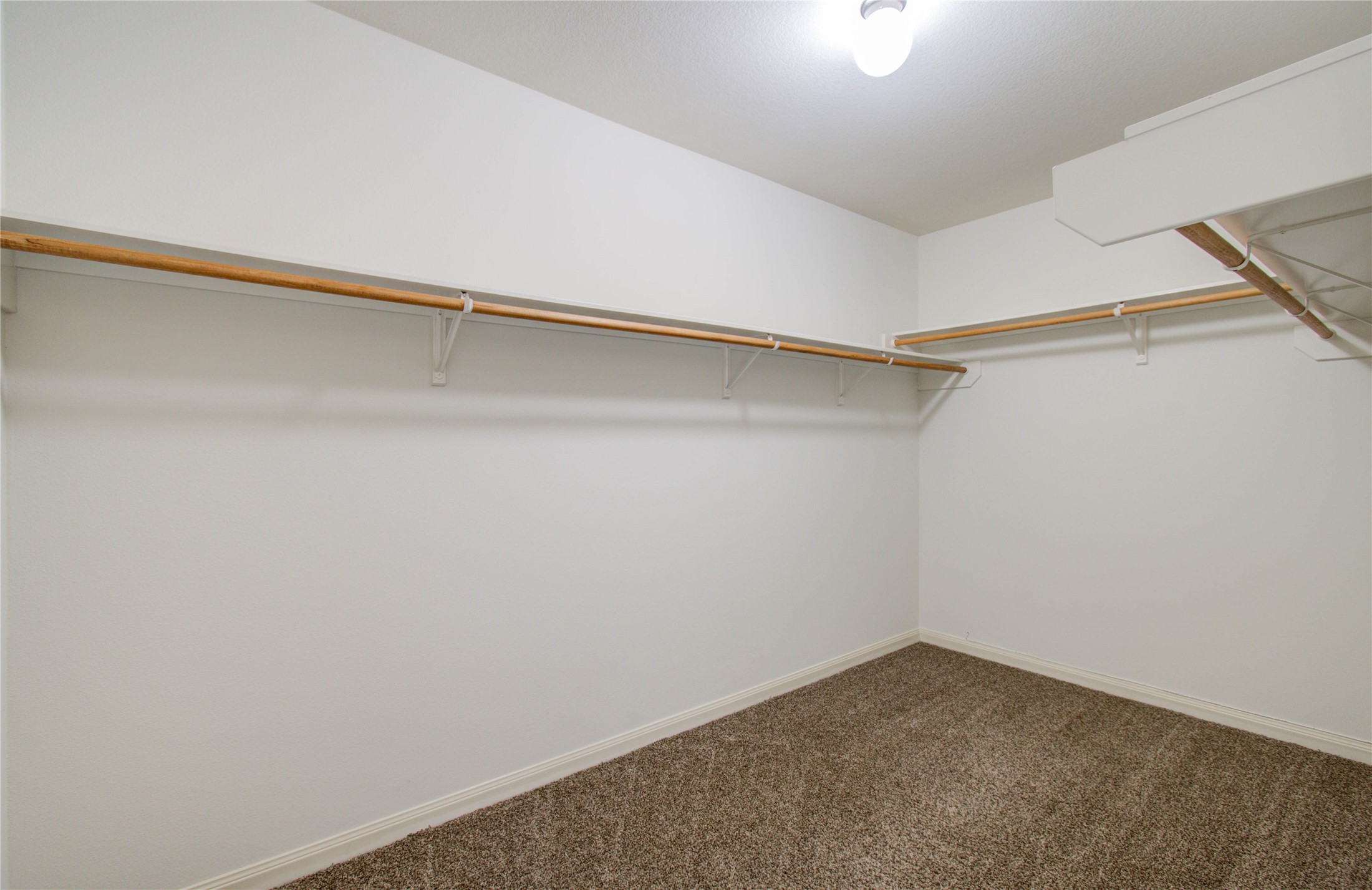 8218 Hall View Drive Houston, TX 77075 - Photo 19 of 31 a view of an empty walk in closet