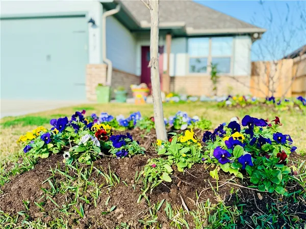 a bunch of flowers in front of flowers