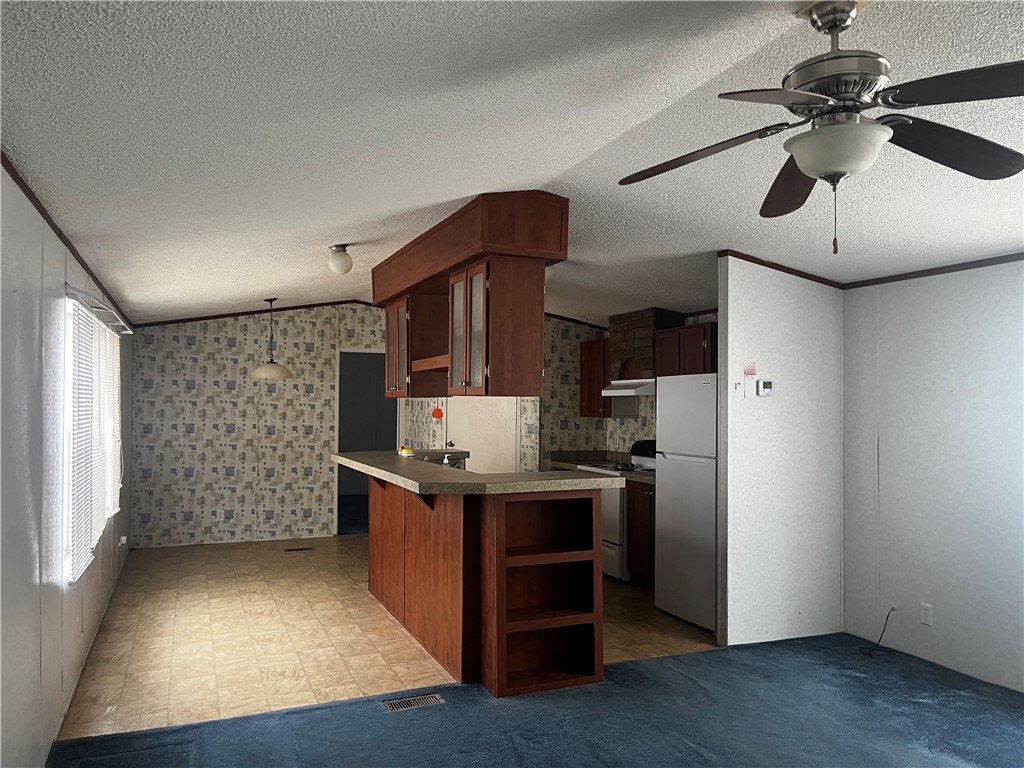388 County Road 1341 Alice, TX 78332 - Photo 6 of 21