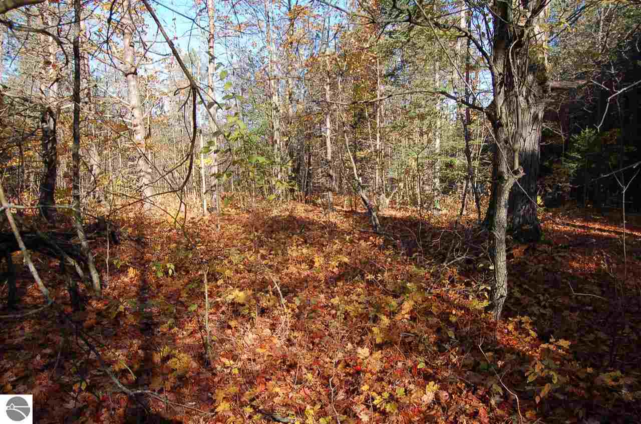 0 North Dundas Rd Rapid Alden, MI 49612 - Photo 4 of 12