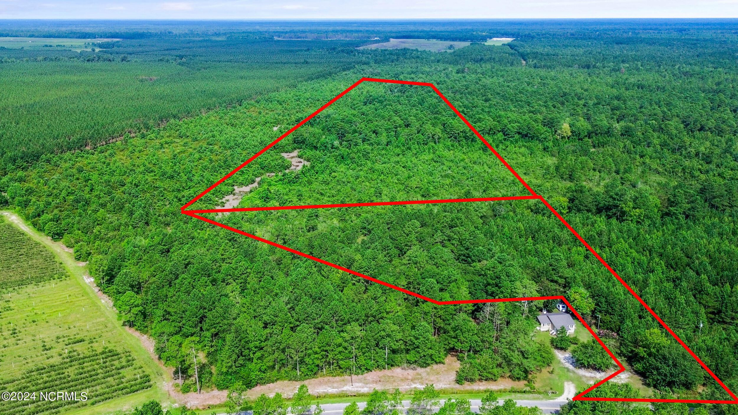 1 Lizzie Henry Road Ivanhoe, NC 28447 - Photo 2 of 15 lizziehenryrd_00001