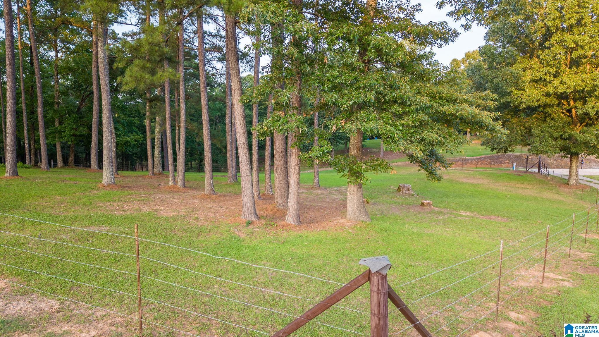 271 Little Pond Road Pell City, AL 35128 - Photo 76 of 86