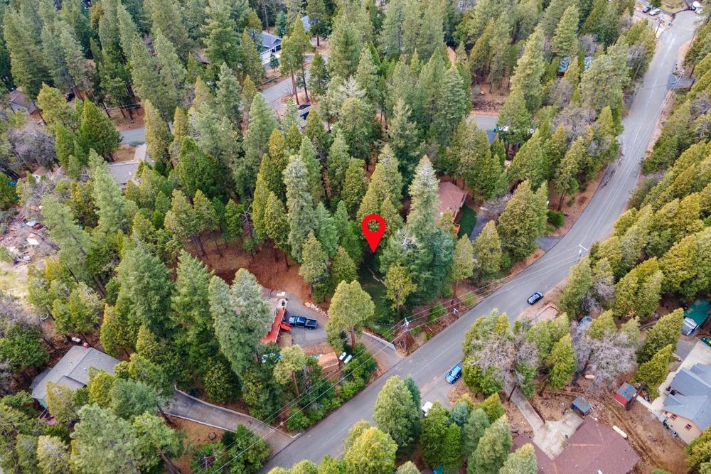 3988 Pearl Road Pollock Pines, CA 95726 - Photo 13 of 15 an aerial view of a house with a yard and garden