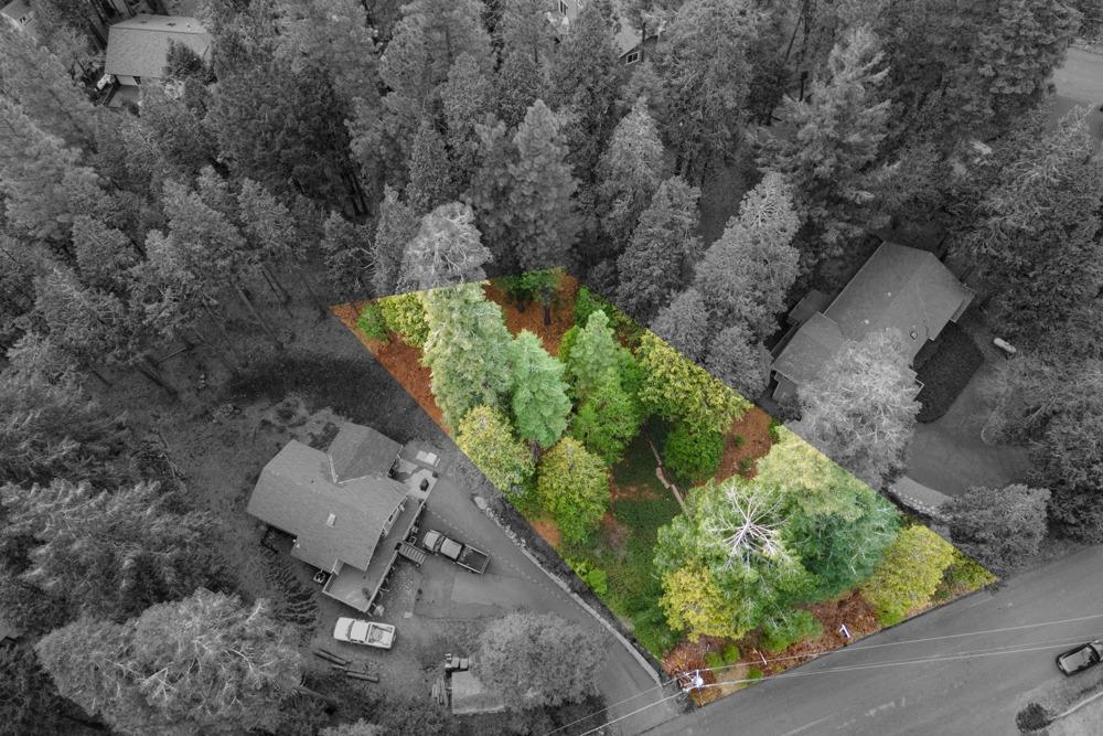3988 Pearl Road Pollock Pines, CA 95726 - Photo 15 of 15 a garden view with a seating space