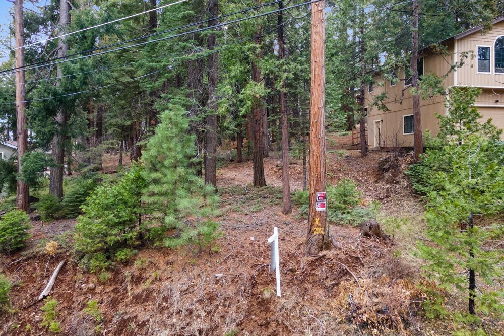 3988 Pearl Road Pollock Pines, CA 95726 - Photo 2 of 15 a backyard of a house with lots of green space