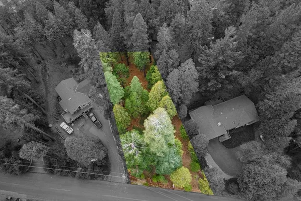 a view of a lush green forest with trees and some houses