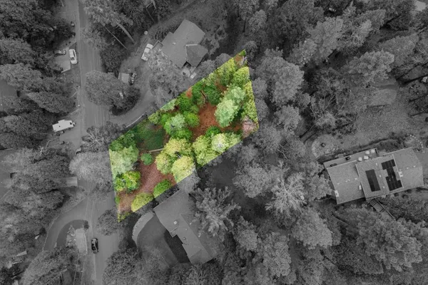 a view of a yard with plants