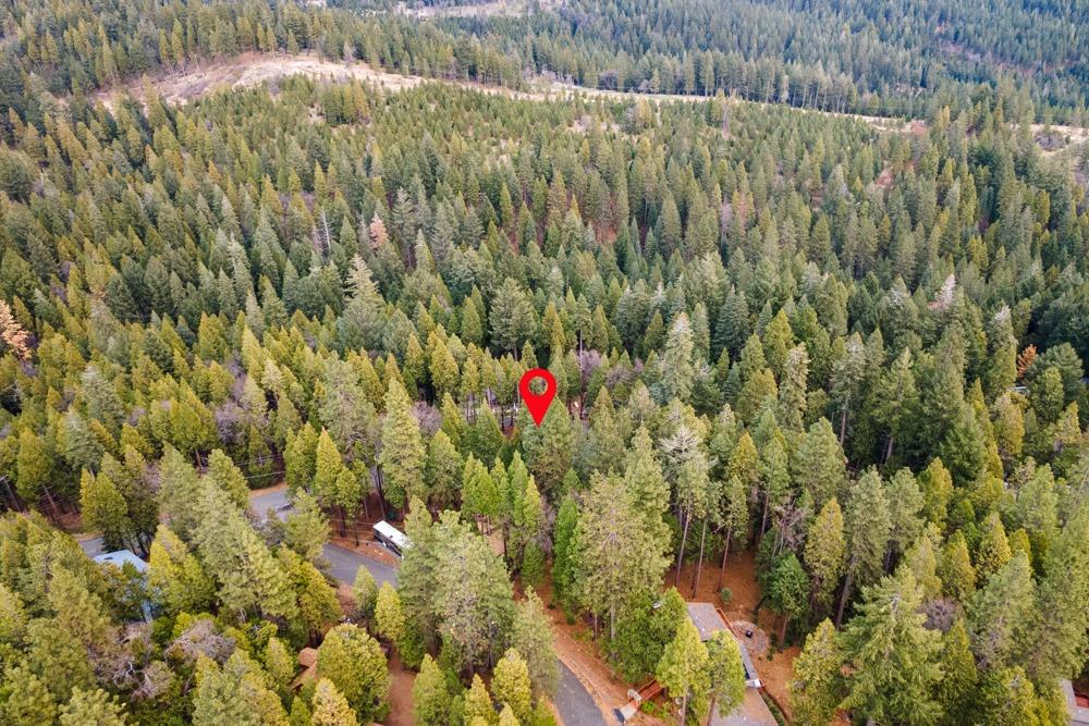 3988 Pearl Road Pollock Pines, CA 95726 - Photo 9 of 15