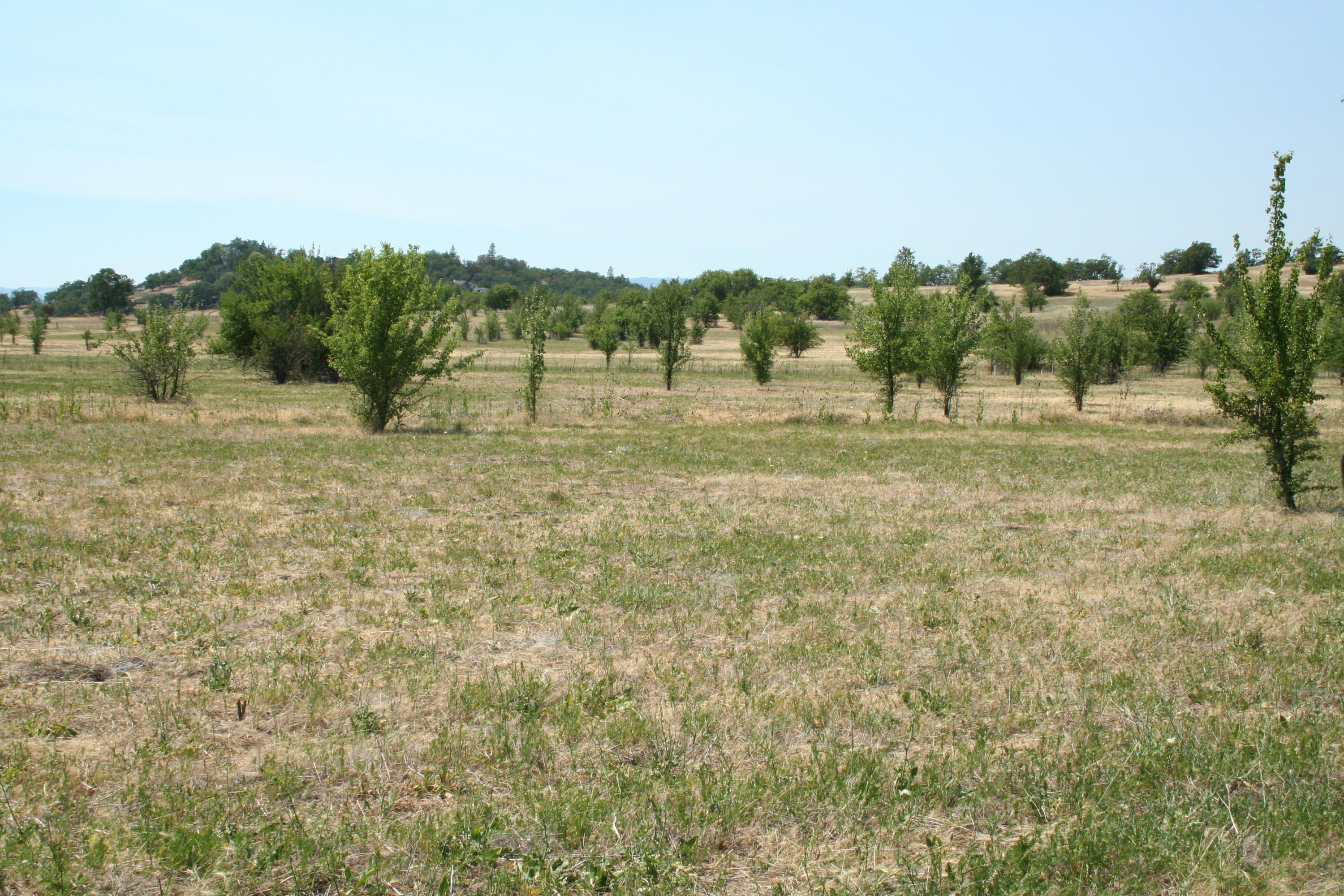 section of property