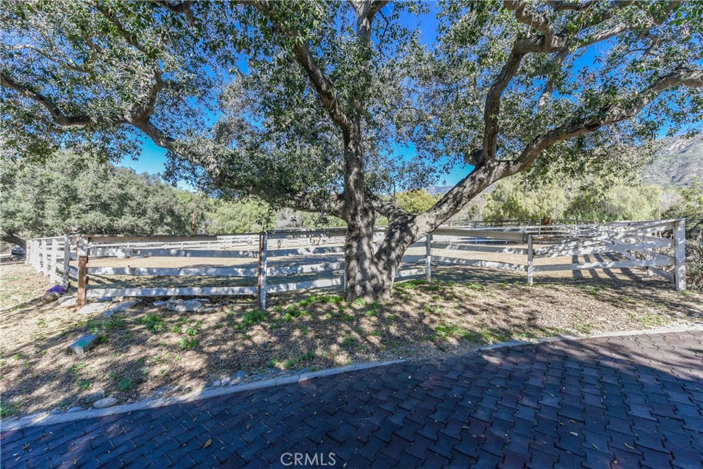 99 Bliss Canyon Road Bradbury, CA 91008 - Photo 17 of 49 a view of a yard with wooden fence