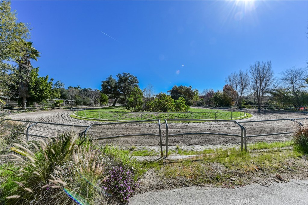 99 Bliss Canyon Road Bradbury, CA 91008 - Photo 27 of 49 a view of a yard with a tree