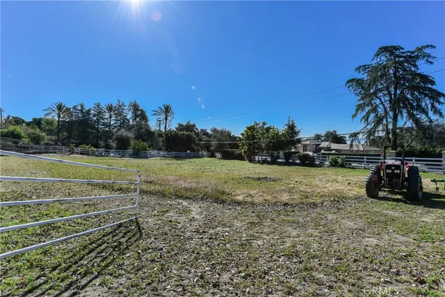 a view of a field with grass and trees