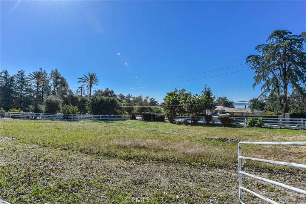 99 Bliss Canyon Road Bradbury, CA 91008 - Photo 30 of 49 a view of a field with grass and trees