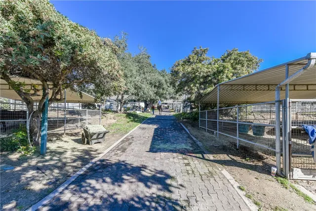 a view of a backyard with a swing