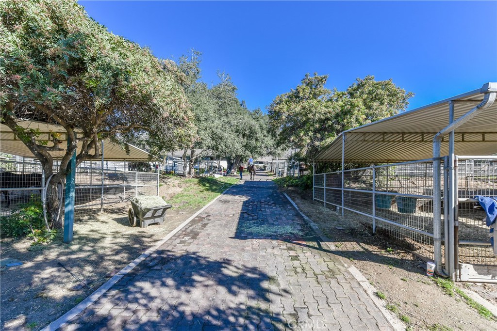 99 Bliss Canyon Road Bradbury, CA 91008 - Photo 32 of 49 a view of yard with tree