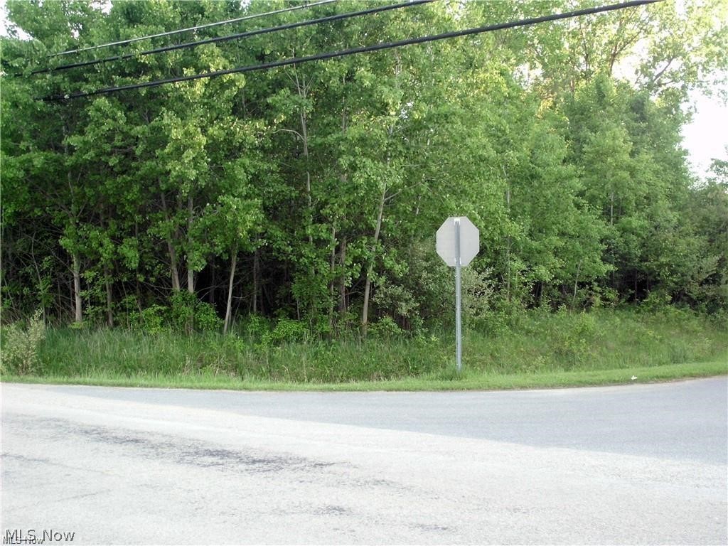 674 Rome Rock Creek Road Roaming Shores, OH 44084 - Photo 3 of 10 Gallery Image 3