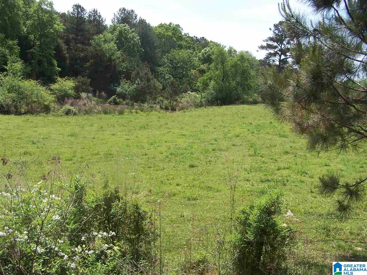2270 Elvester Road Warrior, AL 35180 - Photo 23 of 31