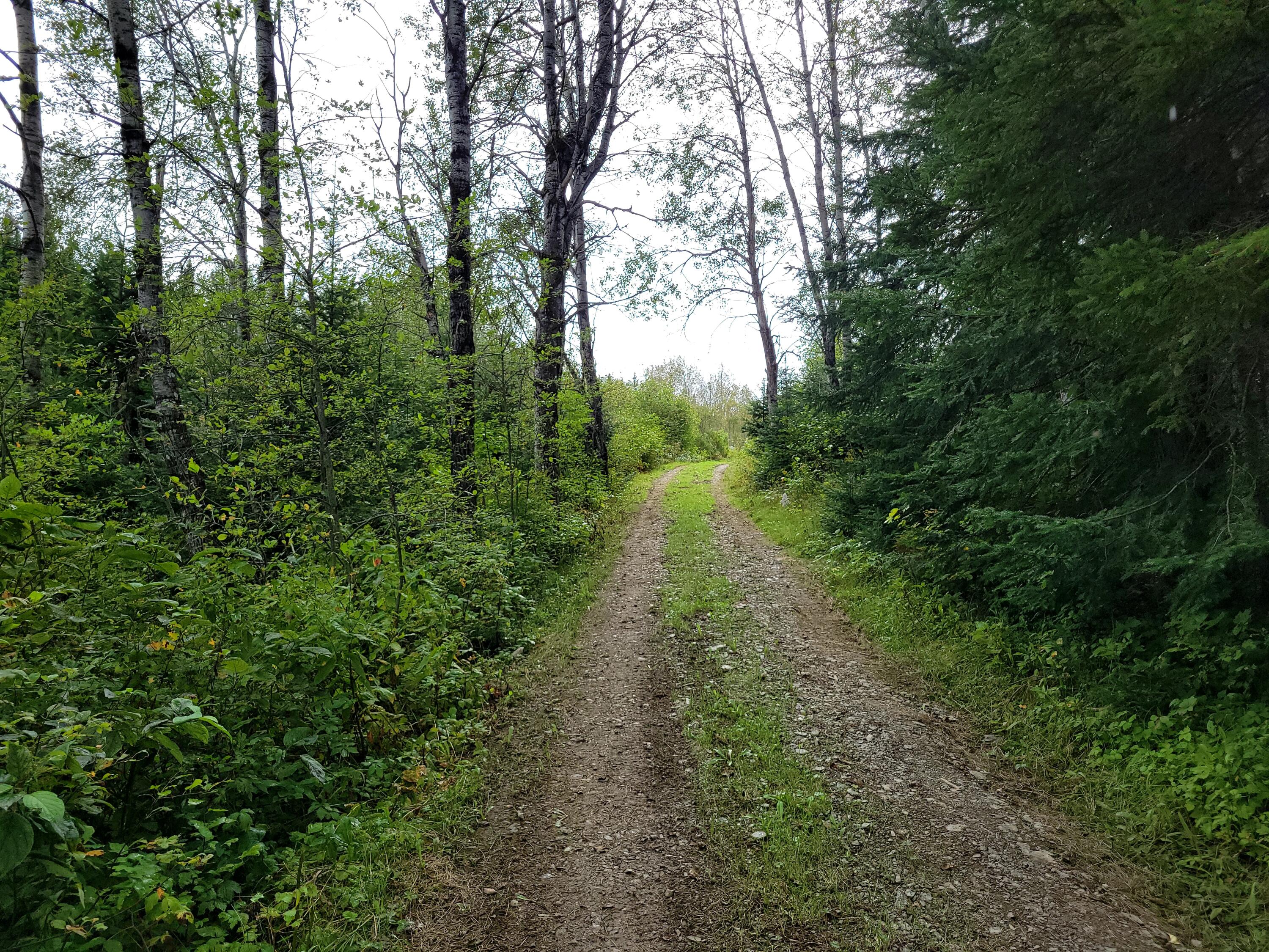 23 Map Road Grand Isle, ME 04746 - Photo 40 of 50 20230910_131701_01