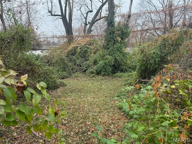 $45,000 | 10449 Duke Drive, St. Louis, MO 63136