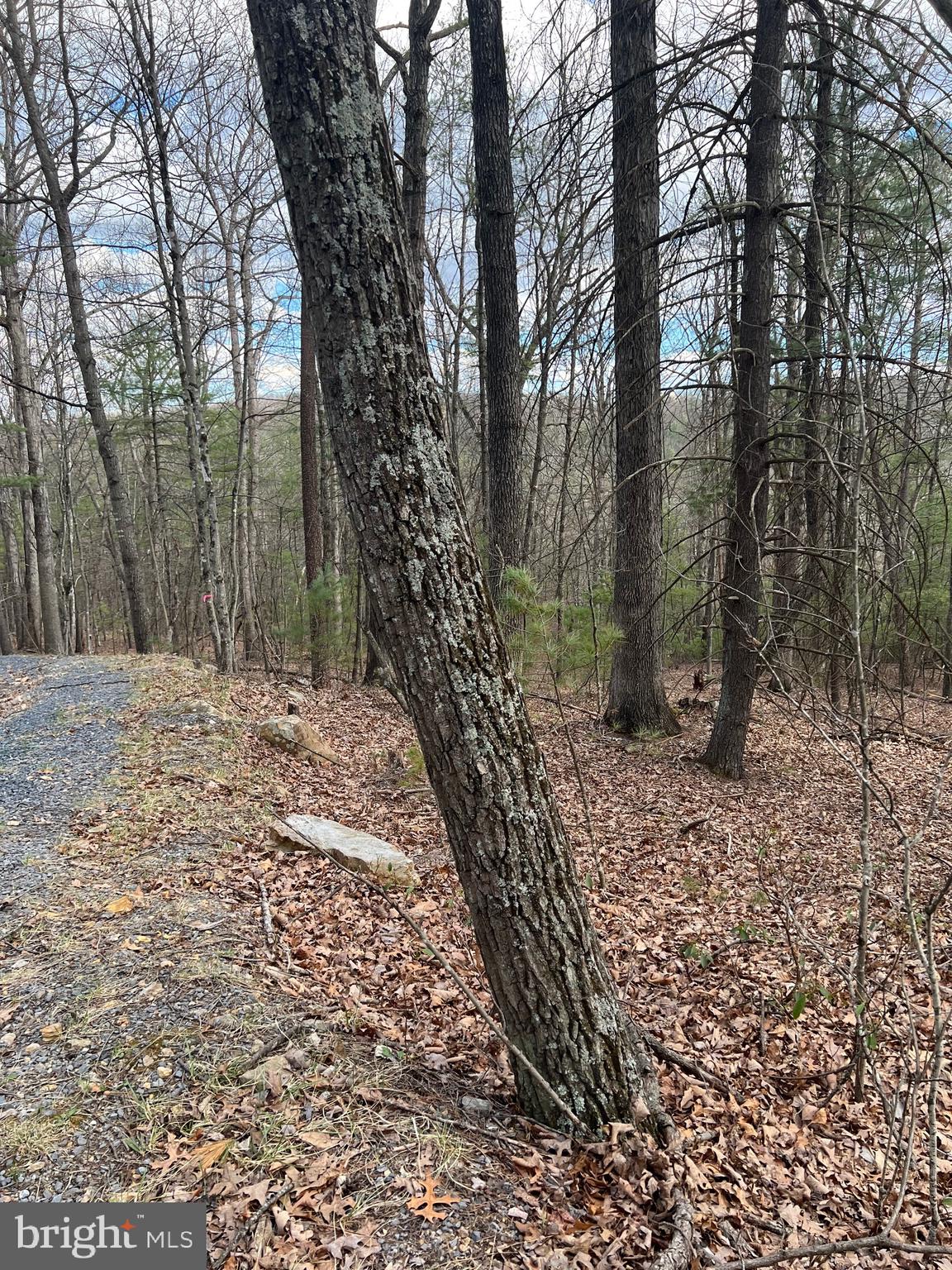 Beech Mount Jackson, VA 22842 - Photo 5 of 5