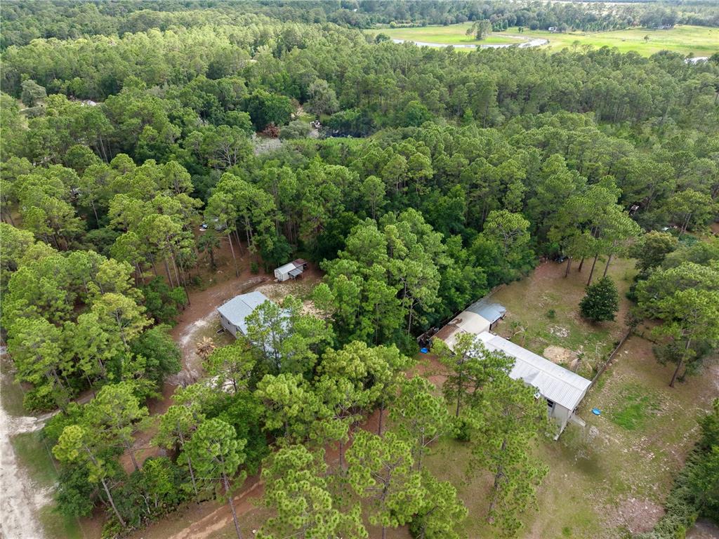 2482 South Wakulla Point Homosassa, FL 34448 - Photo 35 of 36