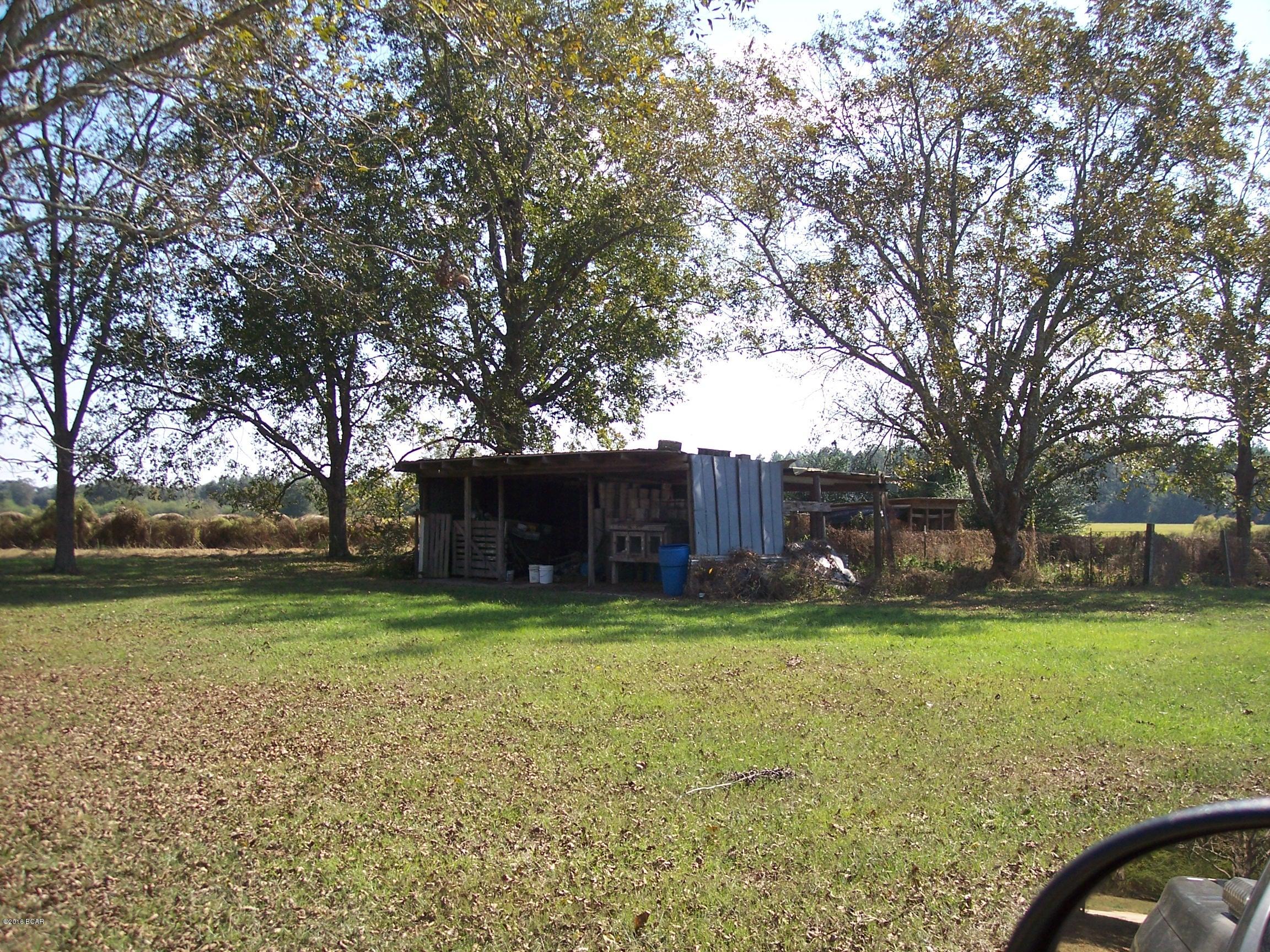1251 Bunker Road Graceville, FL 32440 - Photo 7 of 8 Gallery Image 7