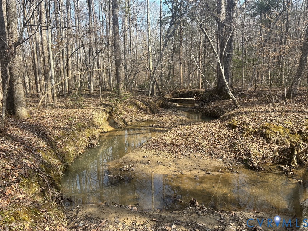 4308 A Three Bridge Road Powhatan, VA 23139 - Photo 71 of 73 Running Creek On The Property.