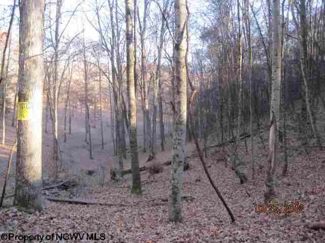 0 Georgetown Road Belington, WV 26250 - Photo 15 of 18 Gallery Image 15