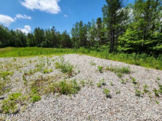 674 Rhodas Way Sunbright, TN 37872 - Photo 18 of 37 20260629_123216