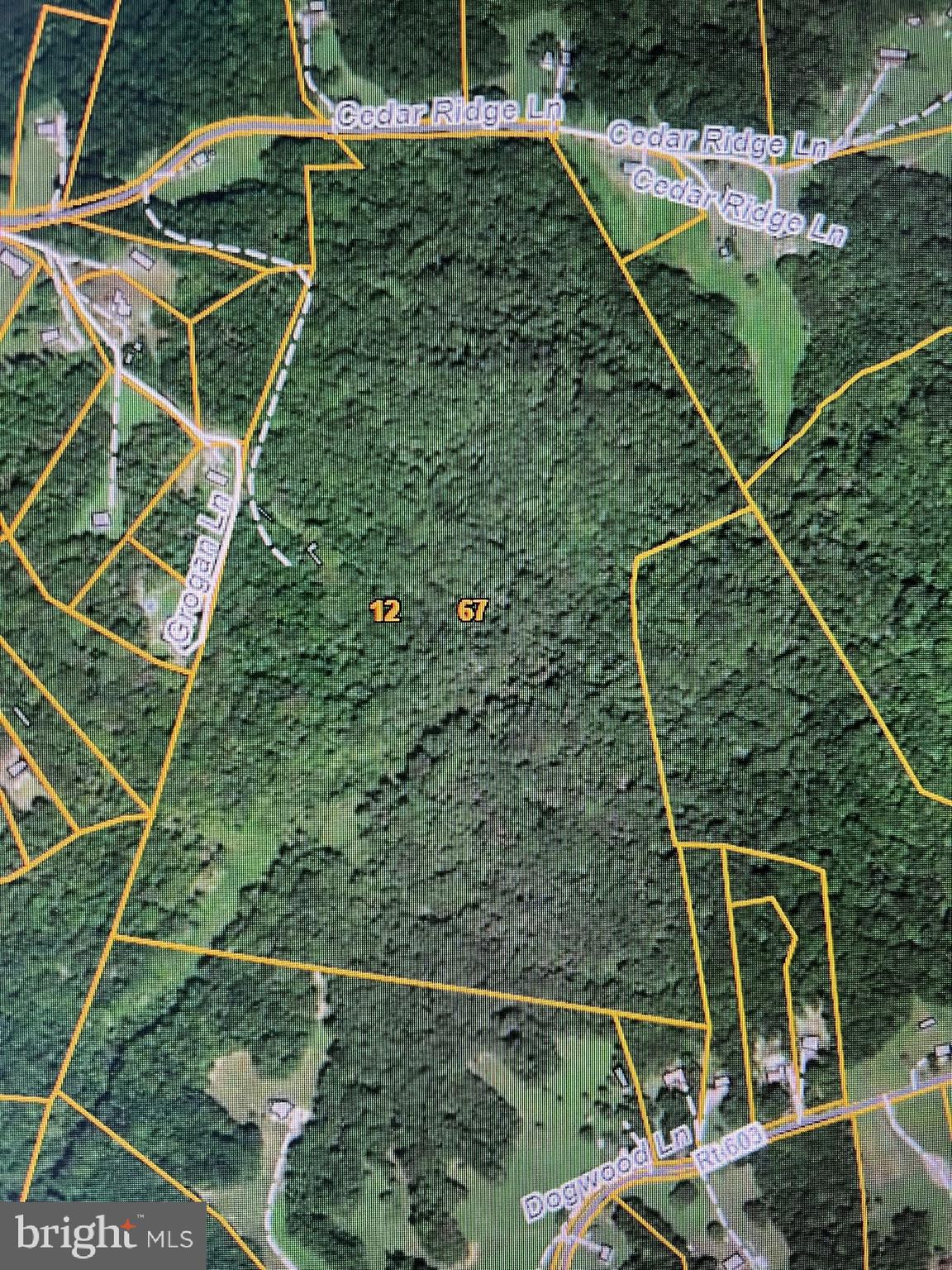 0 Cedar Ridge Lane King George, VA 22485 - Photo 1 of 2 Gallery Image 1