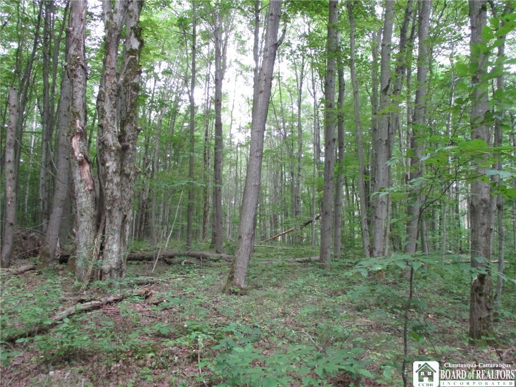 0 Peavy Road Angelica, NY 14709 - Photo 1 of 1 Gallery Image 1