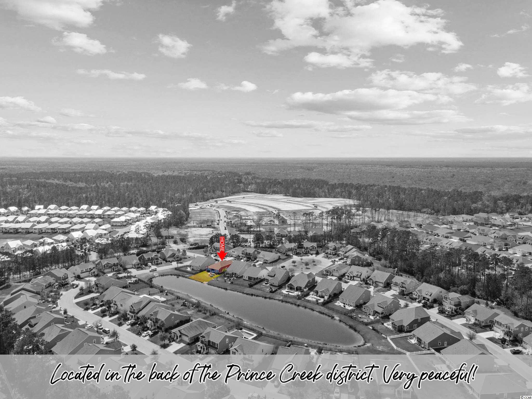347 Simplicity Drive Murrells Inlet, SC 29576 - Photo 27 of 40