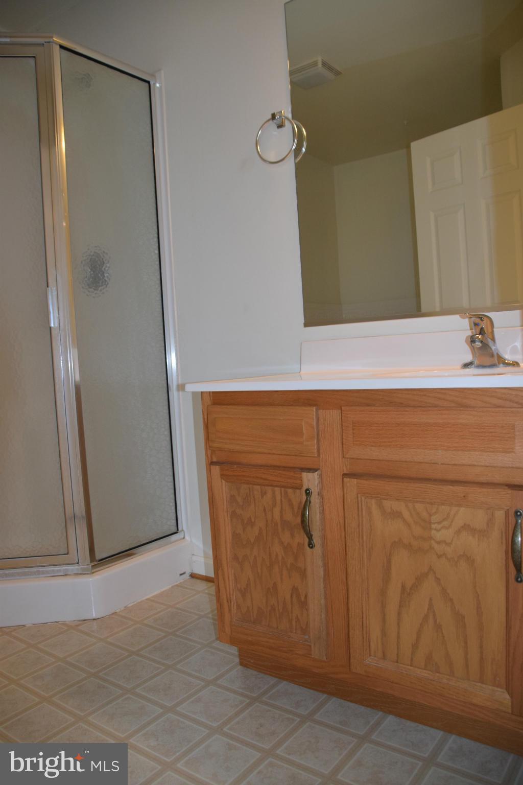 460 Thumper Drive Ranson, WV 25438 - Photo 11 of 24 Bath (Master)