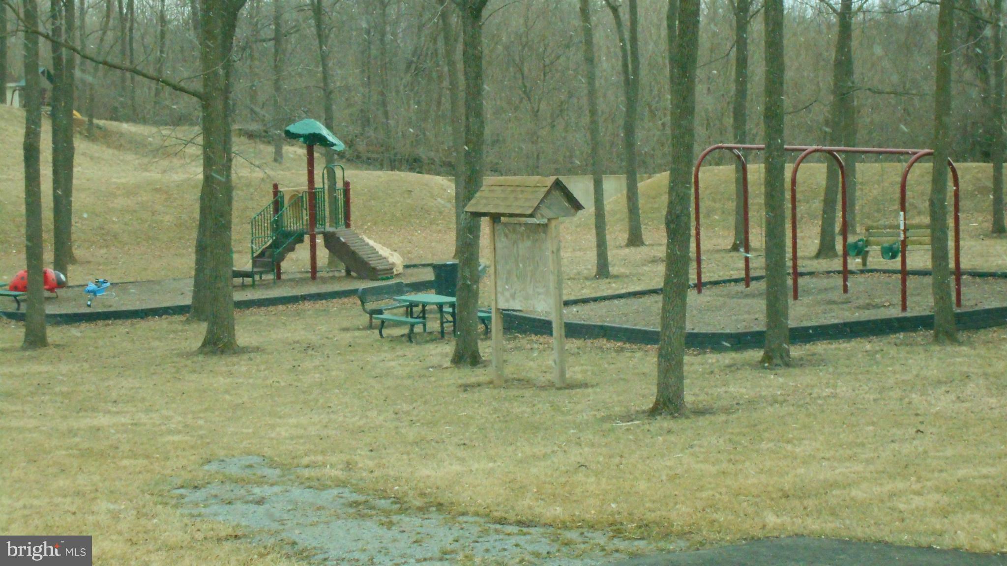 460 Thumper Drive Ranson, WV 25438 - Photo 24 of 24 Community