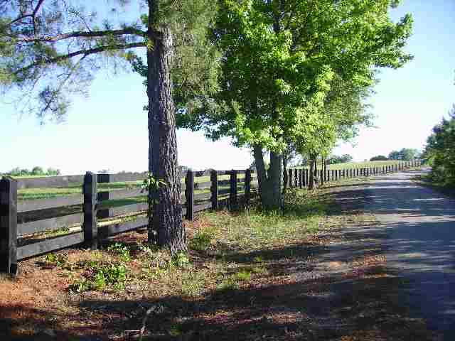 26-acres Gaillard Road, Unit 26 AC GAILLARD DRIVE Williamston, SC 29697 - Photo 1 of 5