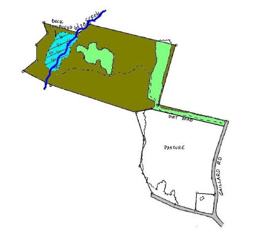 26-acres Gaillard Road, Unit 26 AC GAILLARD DRIVE Williamston, SC 29697 - Photo 5 of 5
