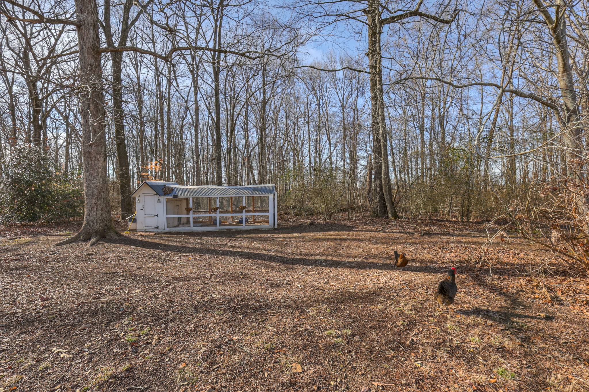 175 Dry Weakley Road Ethridge, TN 38456 - Photo 35 of 49 a view of a house with large trees