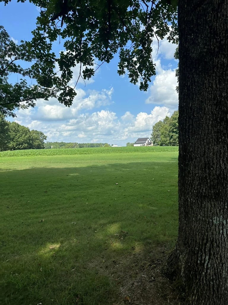 175 Dry Weakley Road Ethridge, TN 38456 - Photo 38 of 49 a view of a big yard with an trees
