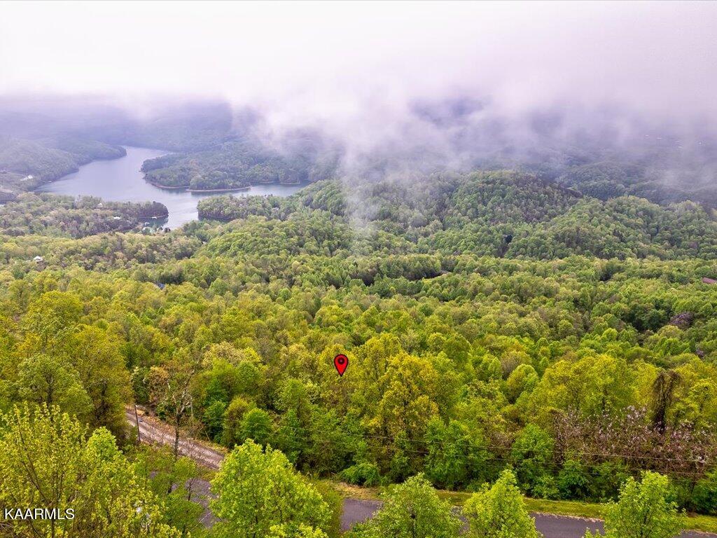 Lot 196 Clinch View Road New Tazewell, TN 37825 - Photo 1 of 28 Lot 196 Clinch Valley Rd - 1