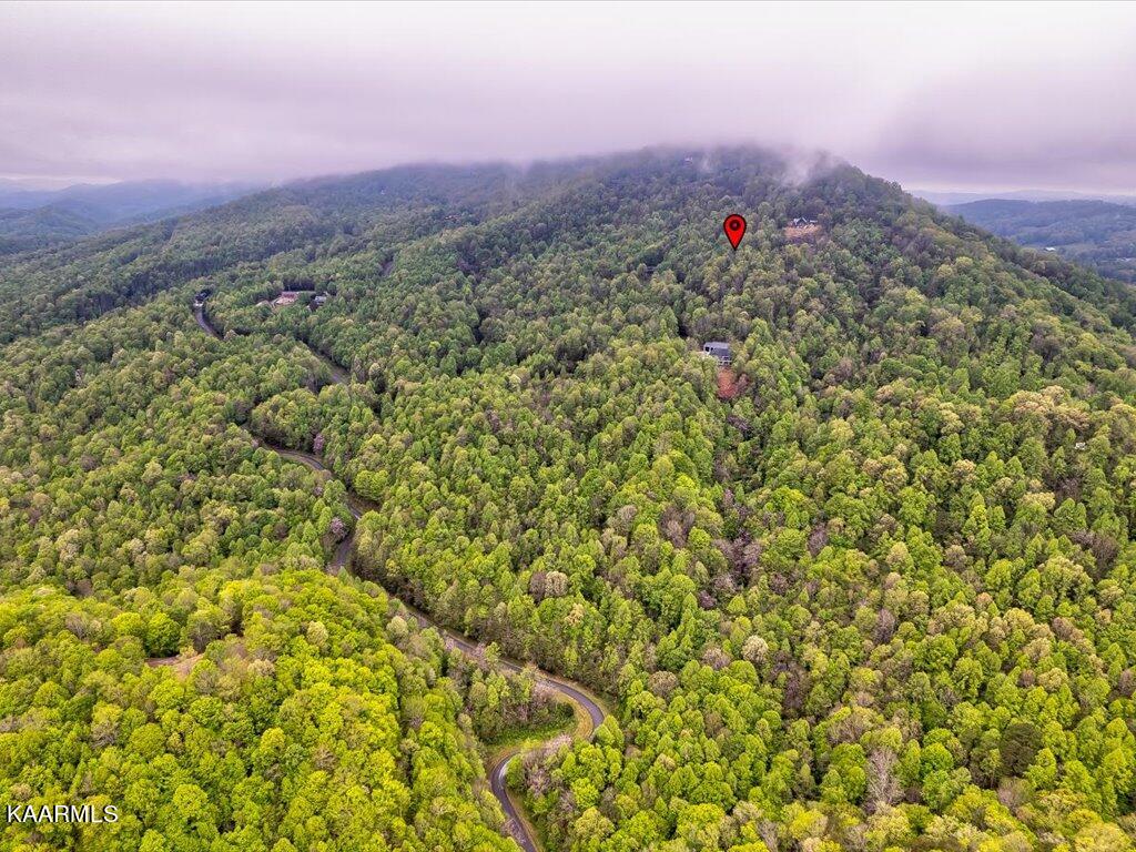 Lot 196 Clinch View Road New Tazewell, TN 37825 - Photo 11 of 28 Lot 196 Clinch Valley Rd - 12