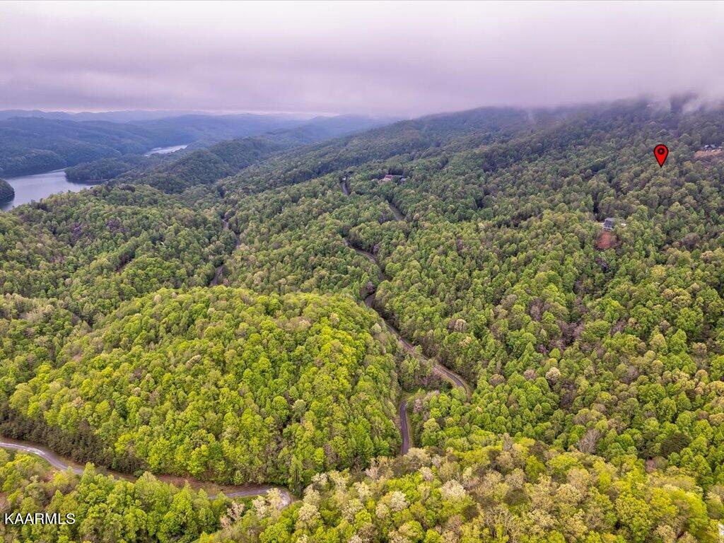 Lot 196 Clinch View Road New Tazewell, TN 37825 - Photo 12 of 28 Lot 196 Clinch Valley Rd - 13