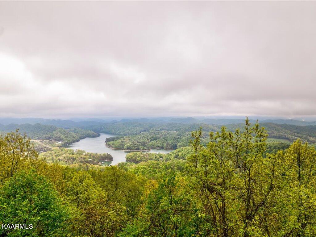 Lot 196 Clinch View Road New Tazewell, TN 37825 - Photo 23 of 28 Lot 196 Clinch Valley Rd - 24
