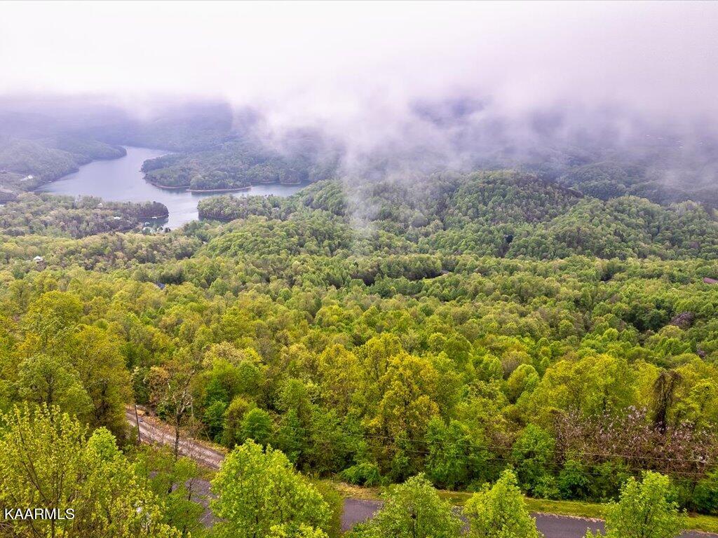 Lot 196 Clinch View Road New Tazewell, TN 37825 - Photo 24 of 28 Lot 196 Clinch Valley Rd - 25