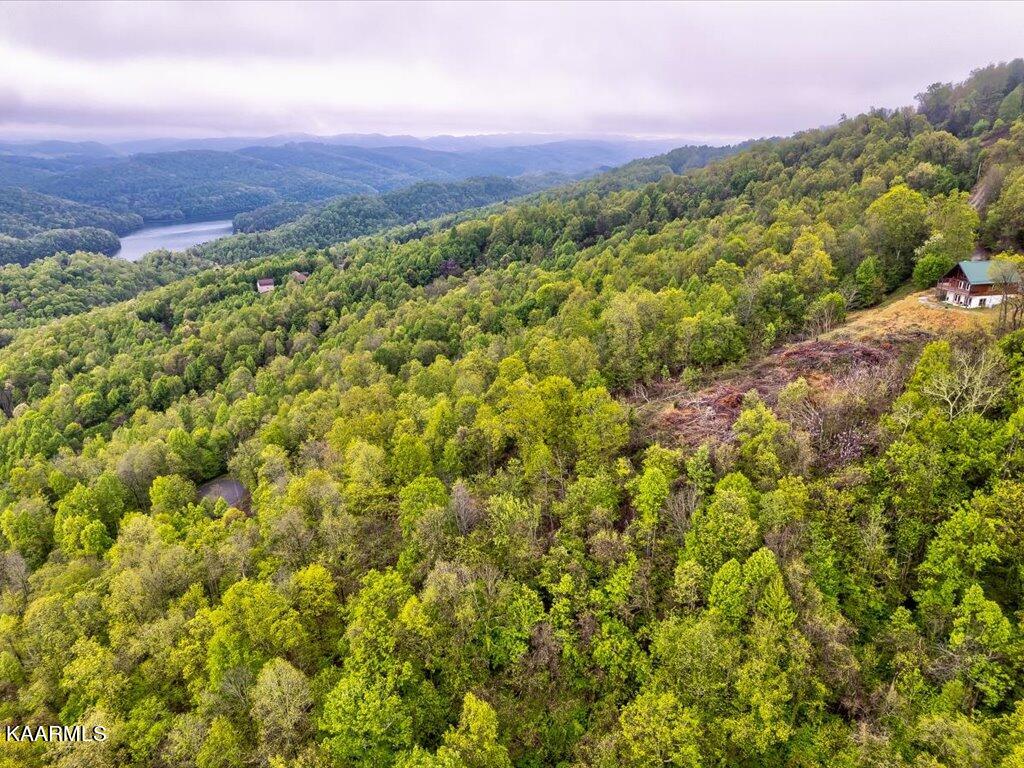 Lot 196 Clinch View Road New Tazewell, TN 37825 - Photo 25 of 28 Lot 196 Clinch Valley Rd - 26