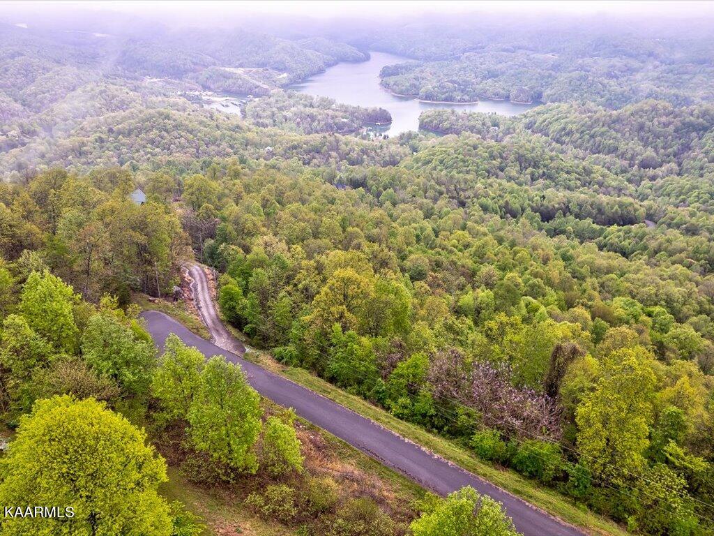 Lot 196 Clinch View Road New Tazewell, TN 37825 - Photo 26 of 28 Lot 196 Clinch Valley Rd - 27