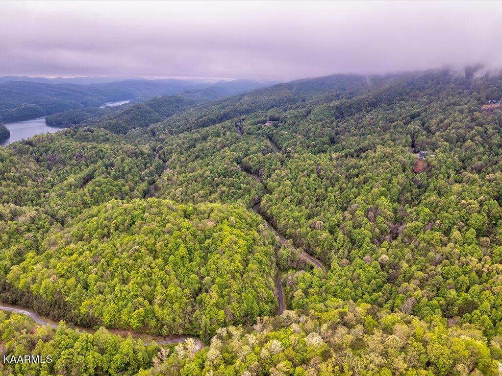 Lot 196 Clinch View Road New Tazewell, TN 37825 - Photo 27 of 28 Lot 196 Clinch Valley Rd - 28