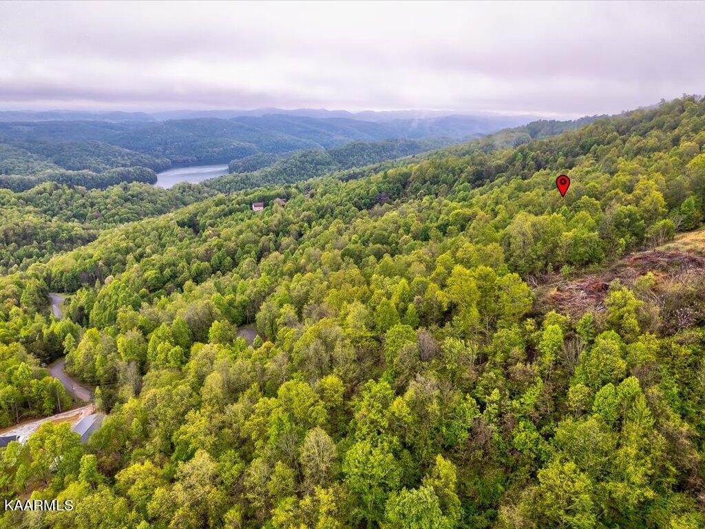 Lot 196 Clinch View Road New Tazewell, TN 37825 - Photo 3 of 28 Lot 196 Clinch Valley Rd - 3