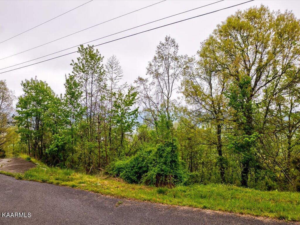 Lot 196 Clinch View Road New Tazewell, TN 37825 - Photo 5 of 28 Lot 196 Clinch Valley Rd - 5