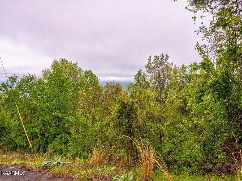 Lot 196 Clinch View Road New Tazewell, TN 37825 - Photo 6 of 28 Lot 196 Clinch Valley Rd - 7